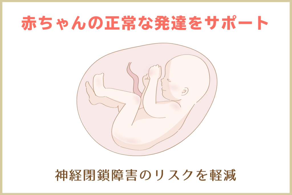 妊活・妊娠中に葉酸サプリが必要な理由